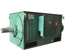 供應Y系列中型高壓三相異步電動機 高效可靠的工業動力選擇